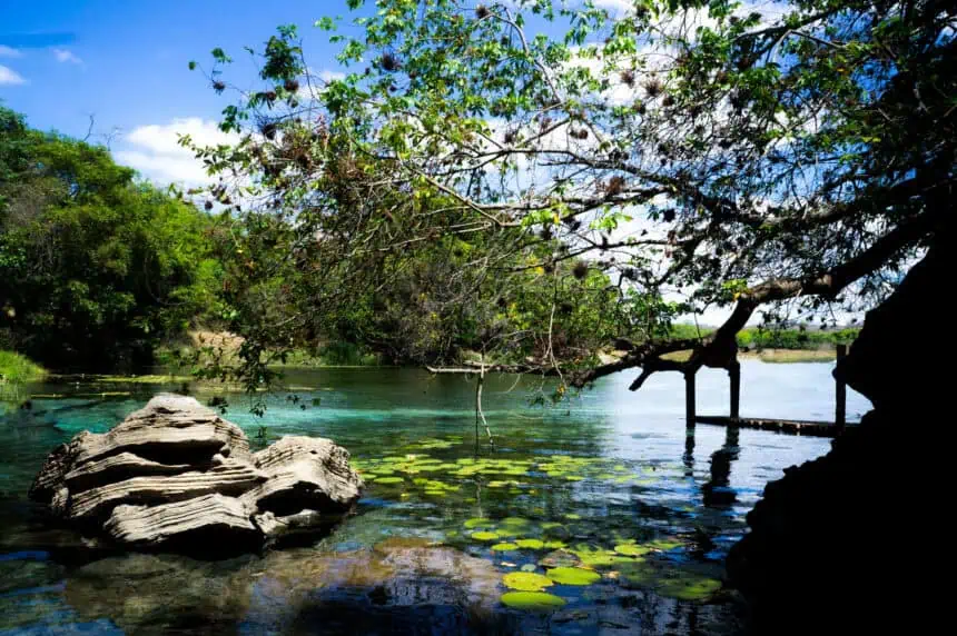 Chapada Diamantin_1706 - Tempo frio surpreende na Bahia: Piatã, a cidade mais gelada do Nordeste